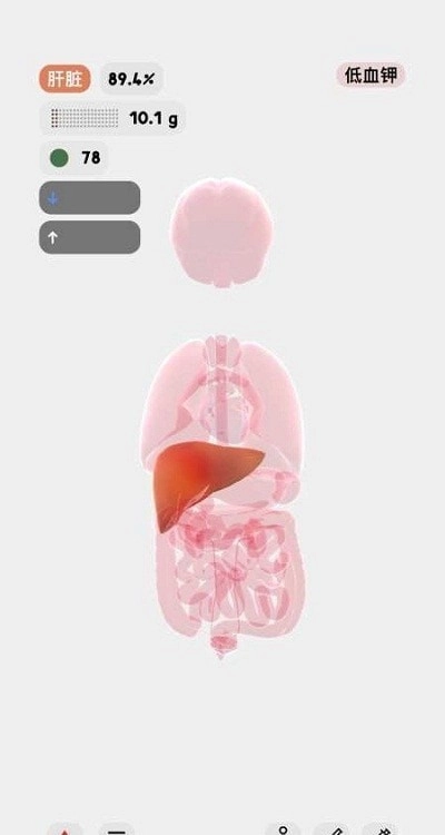 生命模拟器life安卓直装版图3