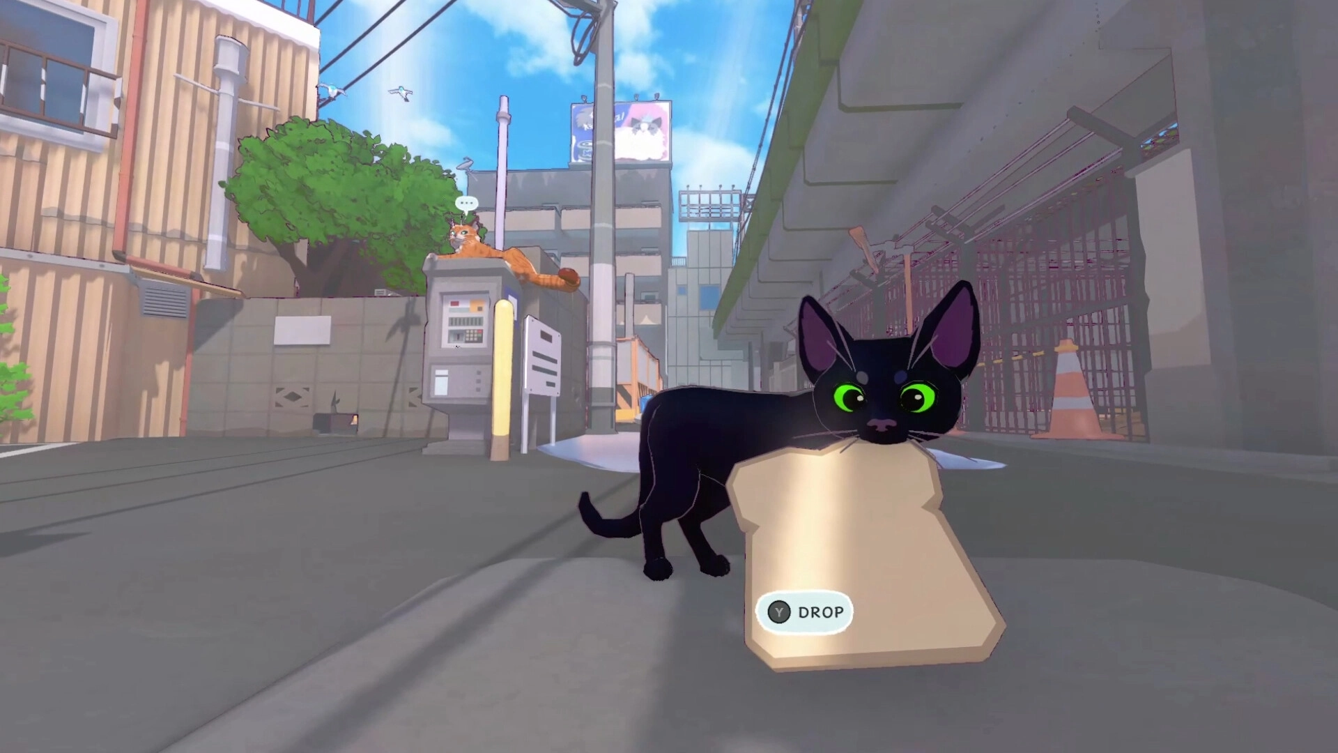 小猫咪大城市模拟器游戏纯净版图3