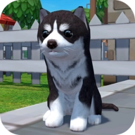 美国ZOOM动物游戏完整版 v1.0.360