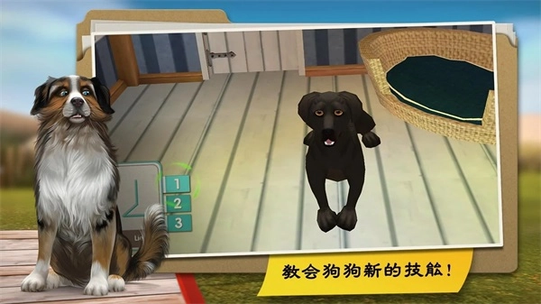 我的寄宿狗屋最新免费版图2