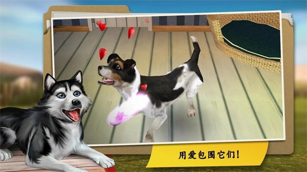 我的寄宿狗屋最新免费版图3
