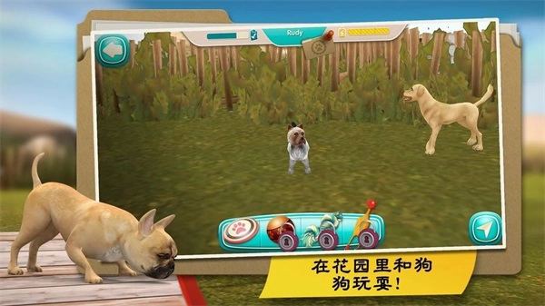 我的寄宿狗屋最新免费版图4