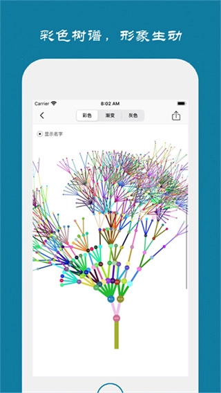 族记家谱直装版图2