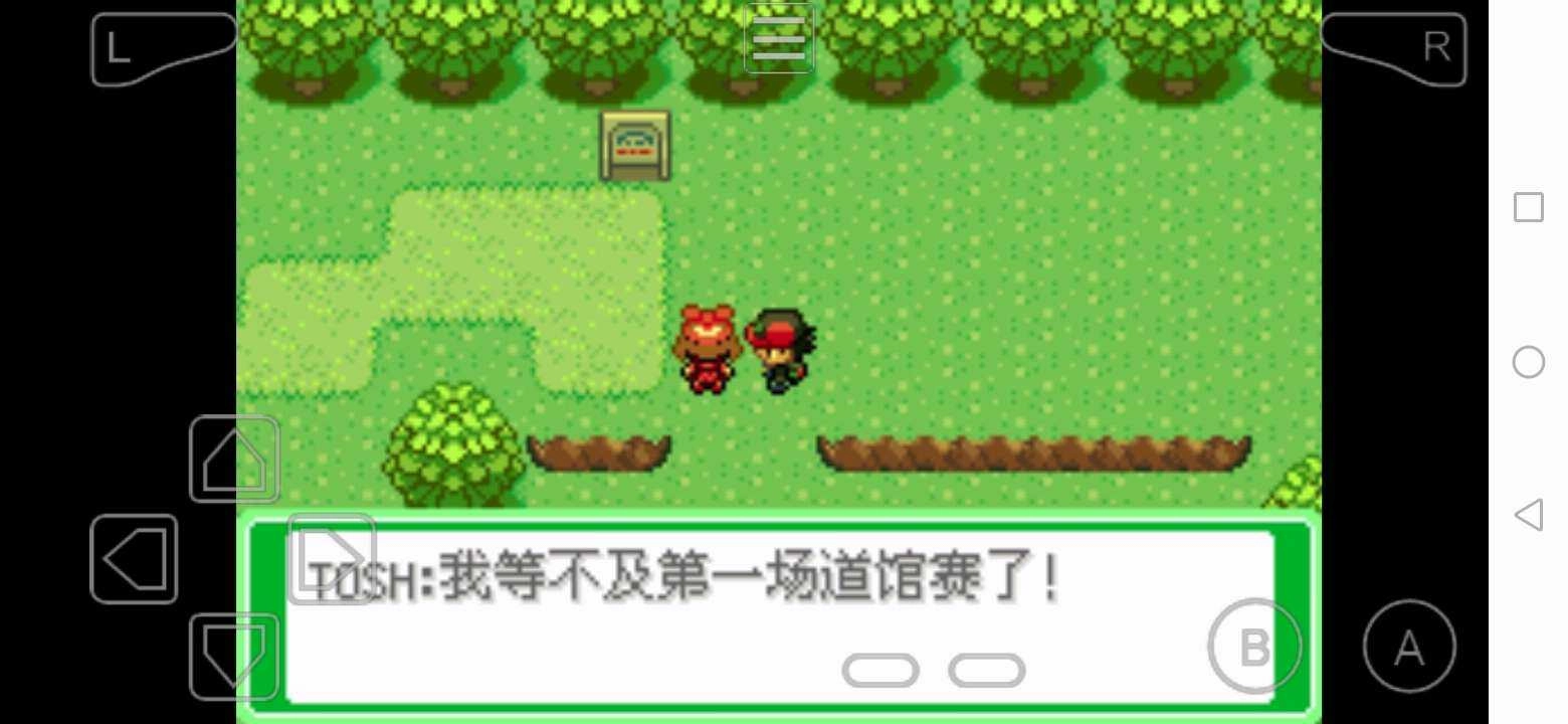 口袋妖怪小智丰缘篇游戏无广告版图4