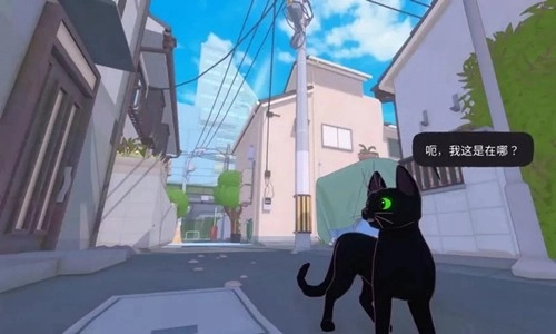 小猫咪大城市游戏最新版图2