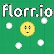 Florr.io直装游戏版 v1.1.2