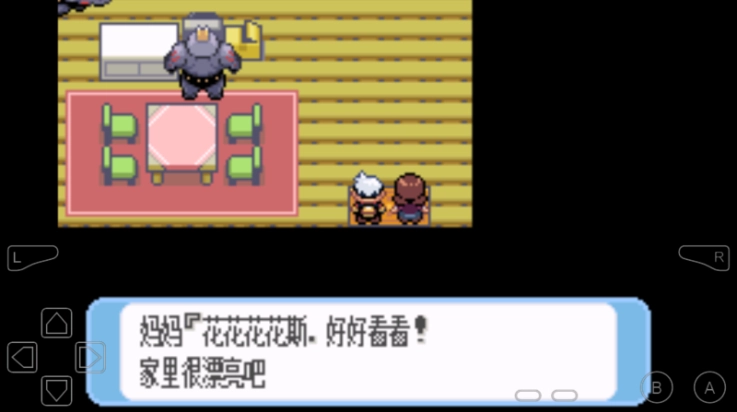 口袋妖怪红宝石手机最新版图3