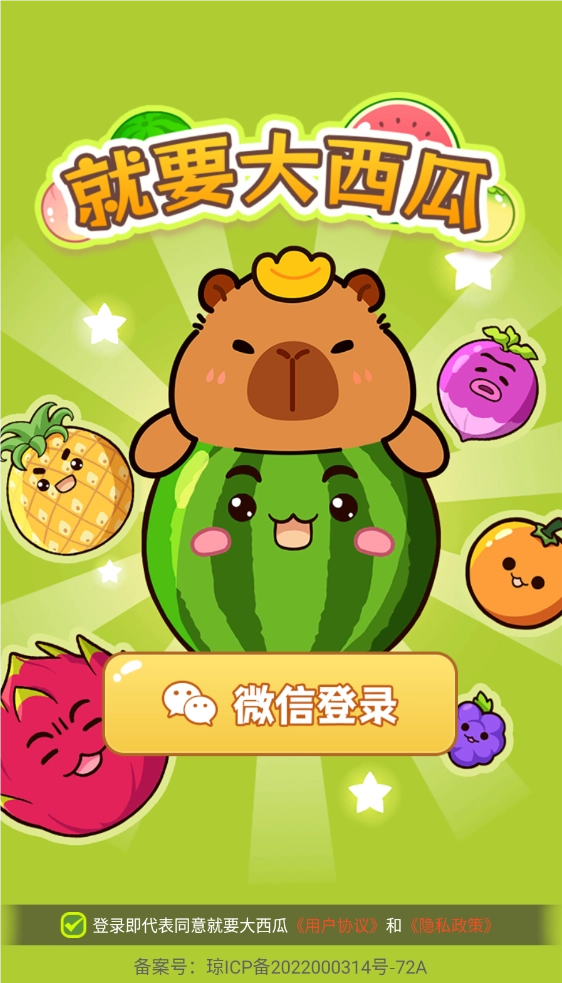 就要大西瓜游戏最新版图2