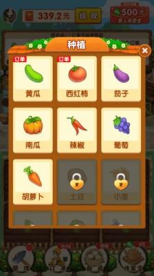 农家小院游戏官方版图2