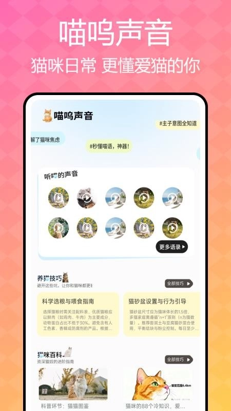 猫咪语言翻译器免费原版图3
