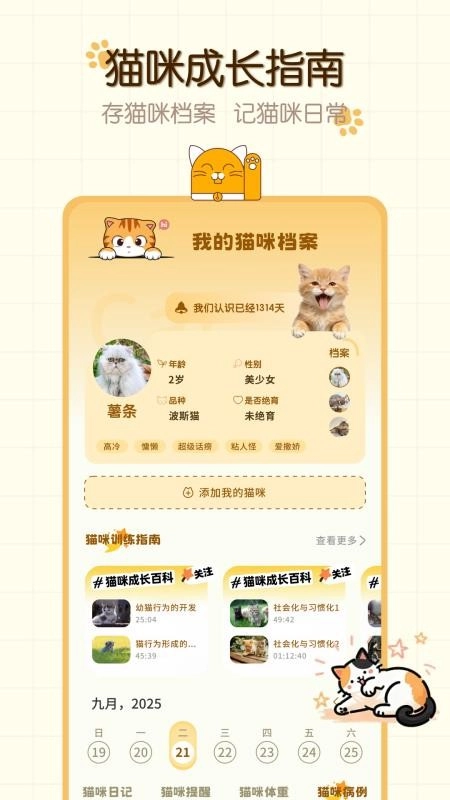 猫咪语言安卓版图2