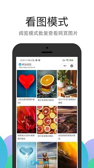 pp浏览器免费版图4