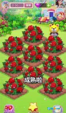 浪漫花园红包版图5
