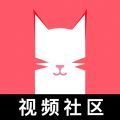 猫咪视频通用版