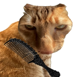 BrushJjaemu游戏安装包