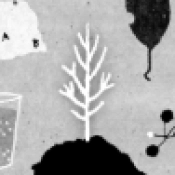 她的树:解谜之梦直装版