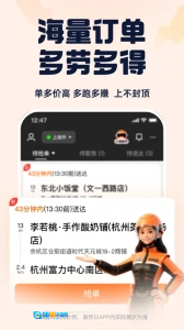 蜂鸟骑士图2