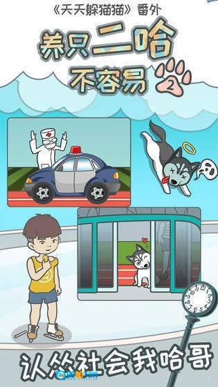 养只二哈不容易2官方最新版图2