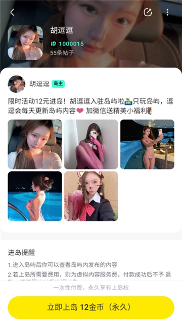 趣岛乐园安卓版图4