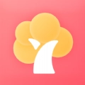 小树日常直装版