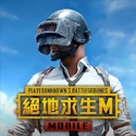 绝地求生国际服游戏绿色版
