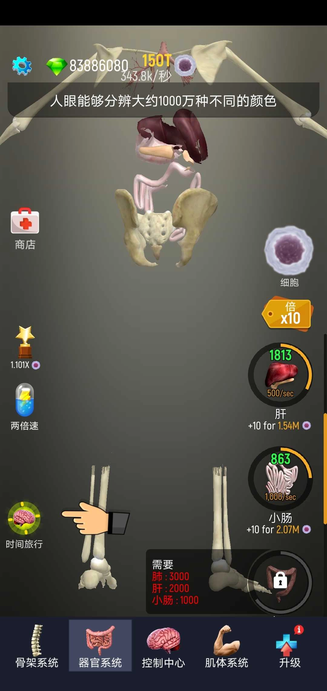 放置人类游戏正版(3)