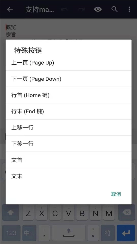 文本编辑器原版图2