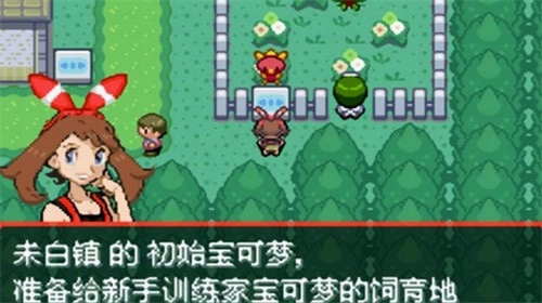 宝可梦究极绿宝石解限版图1