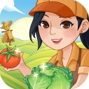 村头菜市场手游直装版