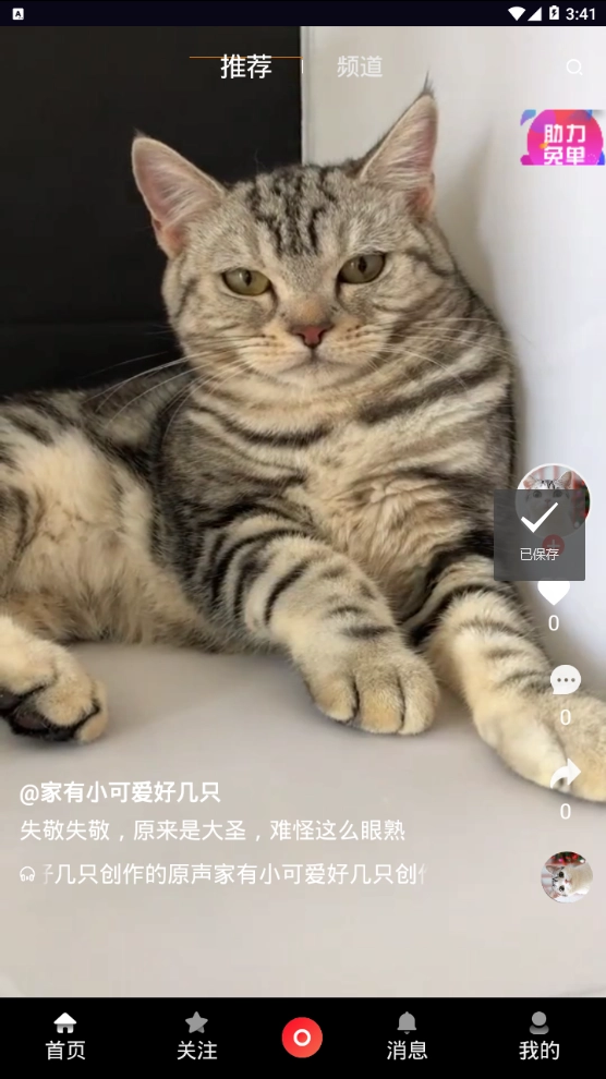 出彩短视频手机正版图4