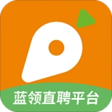 萝卜招聘正版