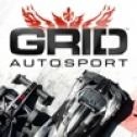 Grid超级房车赛安卓版