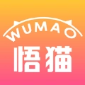 悟猫游戏纯净最新版