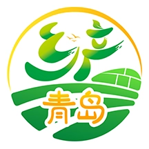 乡产青岛安卓直装版