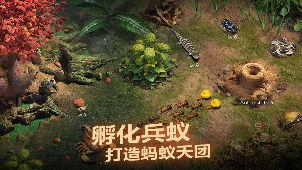 小小蚁国国际版图3