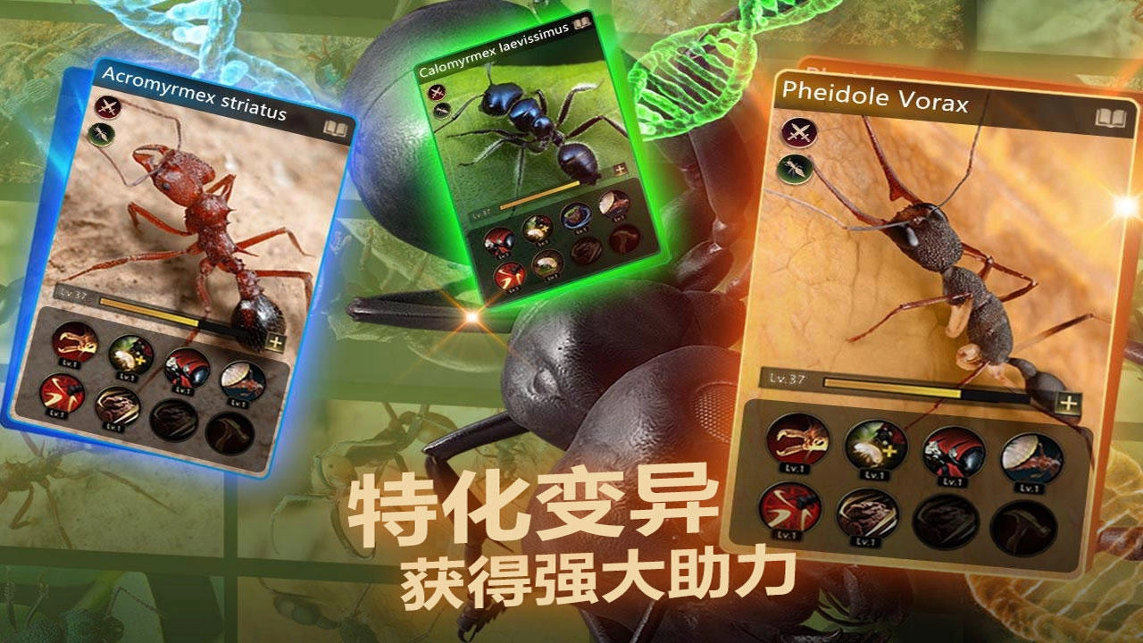 小小蚁国国际版图2