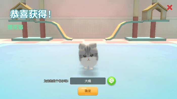 养了个猫手机版图3