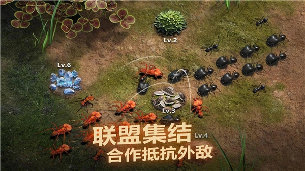 小小蚁国官方版(2)