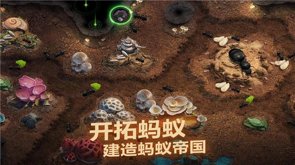 小小蚁国官方版(5)
