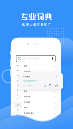 藏译通在线翻译安卓版