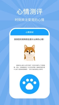 狗猫翻译器手机正版图2