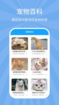 狗猫翻译器手机正版图1