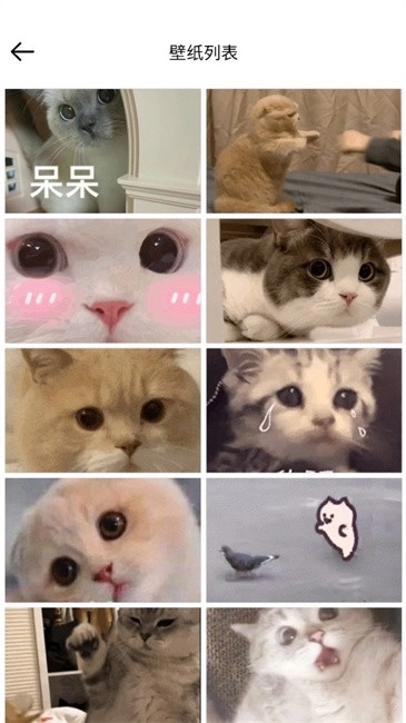 壁纸集正版