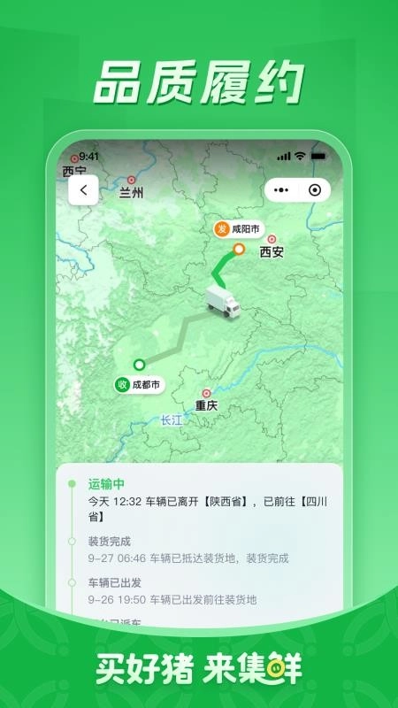 集鲜采猪通用版图2