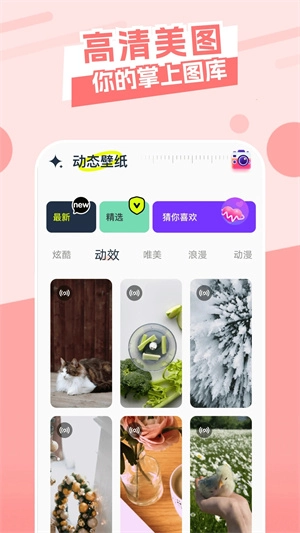 ztkucc主题库安卓官方版图2