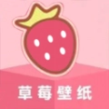草莓壁纸大全最新版 v1.1 最新版