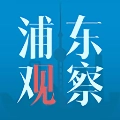 浦东观察免费原版