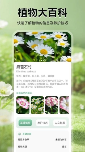 花团锦绣拾光最新免费版图1
