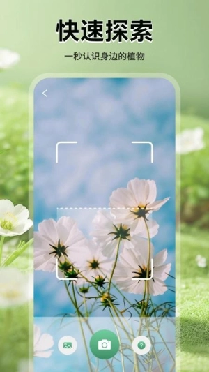 花团锦绣拾光最新免费版图3