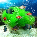水族馆动态壁纸桌面屏保安卓官方版 v5.3 安卓版